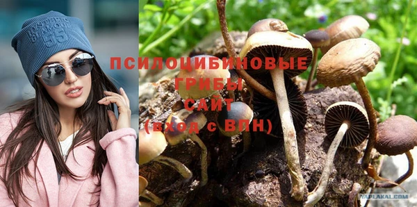 тгк Арсеньев