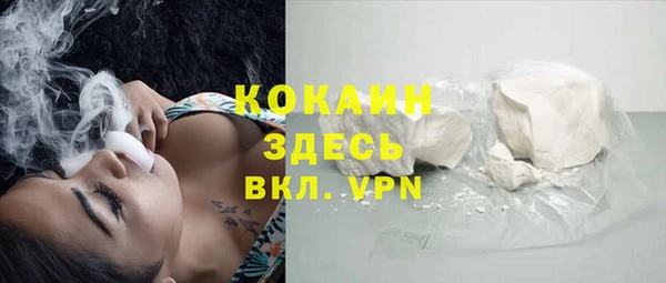 тгк Арсеньев