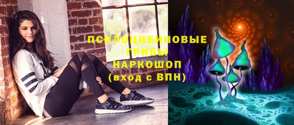 прущие грибы Алексеевка