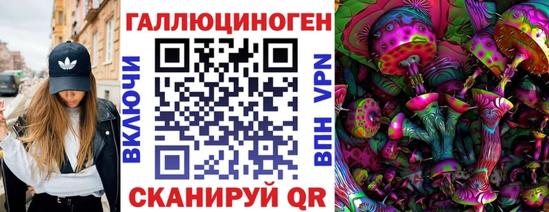 Галлюциногенные грибы Psilocybe  Харабали 